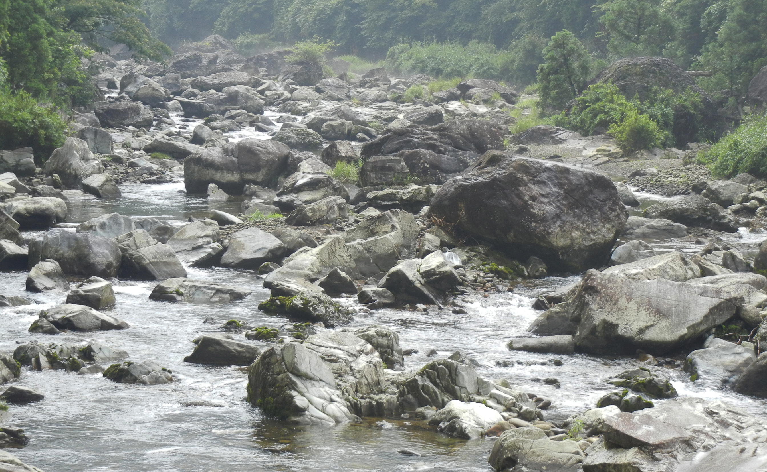 川 兵庫県 一覧