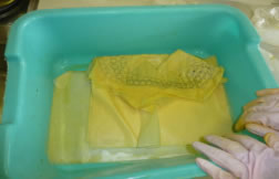 私の実践 私の工夫 生活 ひみつはっけん 花びらで草木染め 啓林館