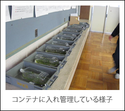 コンテナに入れ管理している様子