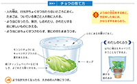 理科_3年_p22_チョウの育て方