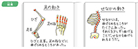 理科4年_p88_ほねと関節