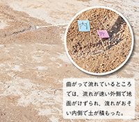 理科5年_p106_運ぱん