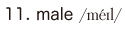 11. male