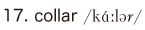 17. collar