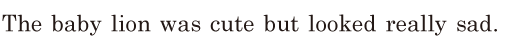 The baby lion was cute / but looked really sad. // 