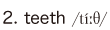2. teeth
