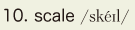 10. scale