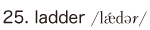 25. ladder