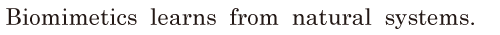 <span class='nw'>Biomimetics</span> learns from natural systems. //