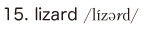 15. lizard