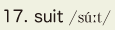 17. suit