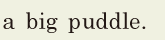 a big <span class='nw'>puddle</span>. // 