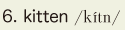 6. kitten