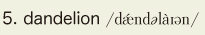 5. dandelion