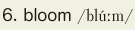 6. bloom