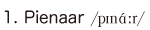 1. Pienaar