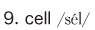 9. cell
