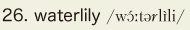 26. waterlily