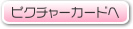 �s�N�`���[�J�[�h��