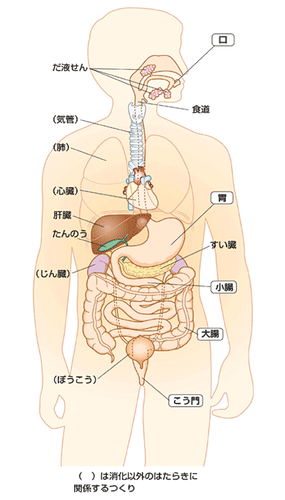 授業実践記録 理科