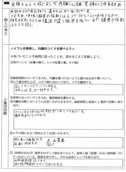 授業実践記録 理科