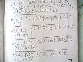 クリックすると拡大表示されます。