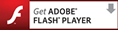 FLASH PLAYER_E[h
