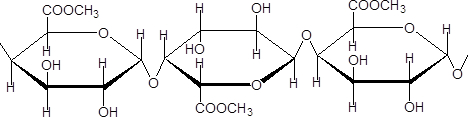 ペクチンの主成分の構造