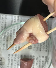 (4)爪楊枝を刺した心臓