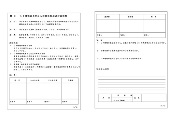 生徒作成用ワークシート（授業2コマで実施）