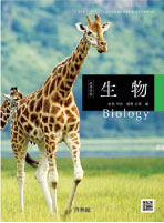 高等学校　生物
（生物703）
