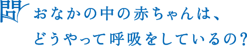 問 おなかの中の赤ちゃんは、どうやって呼吸をしているの？