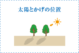 太陽とかげの位置