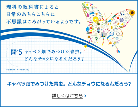問5 キャベツ畑でみつけた青虫。どんなチョウになるんだろう？ 詳しくはこちら