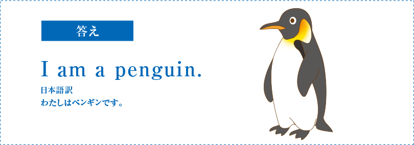 答え　I am a penguin. 日本語訳　わたしはペンギンです。)