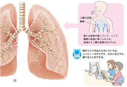 クリックで拡大