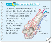 クリックで拡大