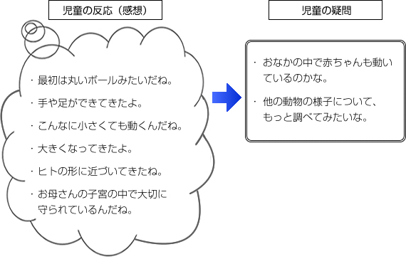 実践記録理科５年