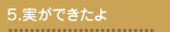 実ができたよ