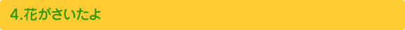 ４．花がさいたよ