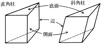 角柱と円柱 算数用語集