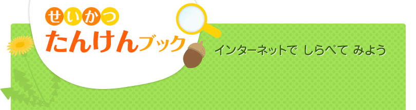 せいかつ たんけんブック　インターネットでしらべてみよう