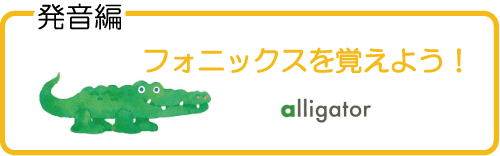 発音編　フォニックスを覚えよう！ alligator