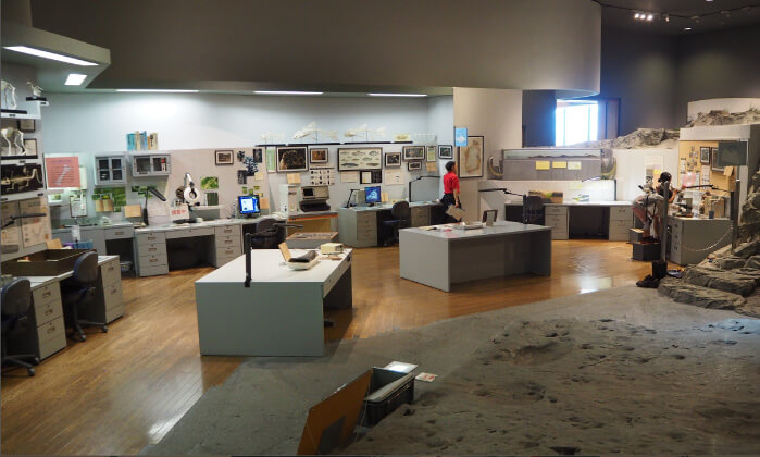 イメージ画像:学芸員になったような気持ちになれる研究室