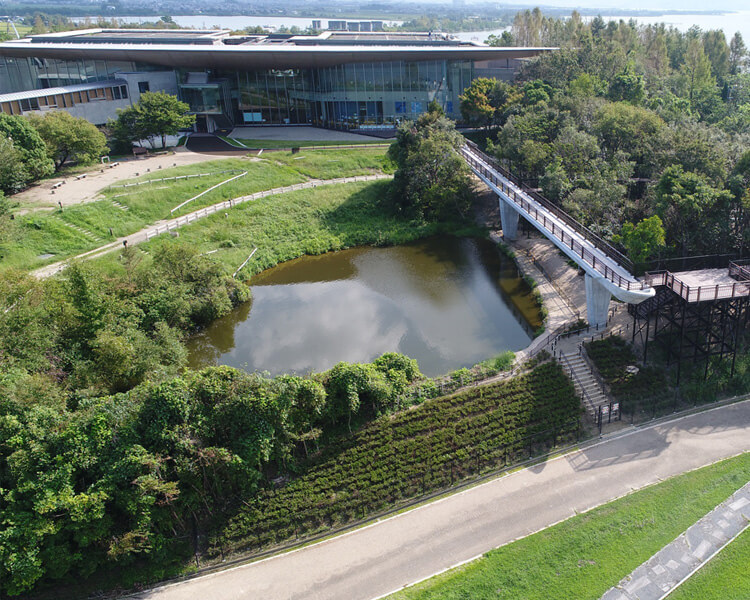 イメージ画像:滋賀県立琵琶湖博物館