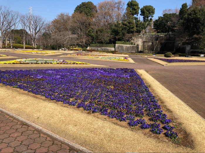 イメージ画像:「花だん広場」
