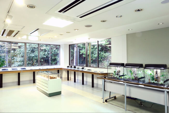 展示室(てんじしつ)（１）