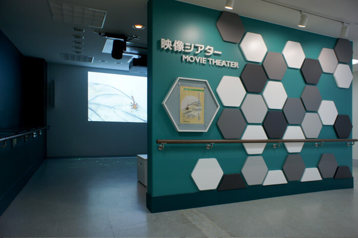 イメージ画像:映像(えいぞう)シアター