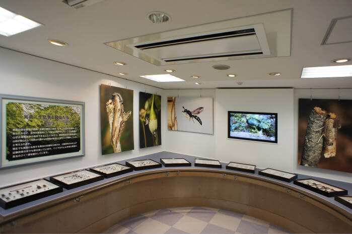 イメージ画像:展示室（２）