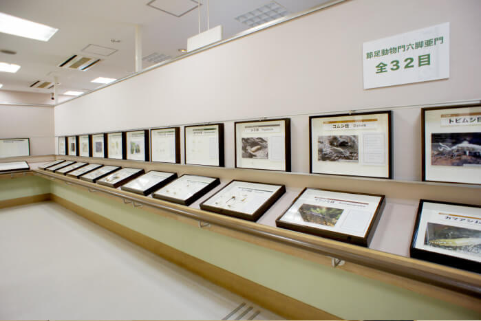 イメージ画像:展示室（３）